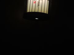 -捞王猪肚鸡火锅(财富中心店)