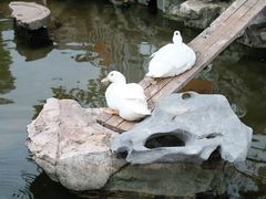 -龙华寺