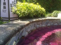 -杭州第一世界大酒店·云曼温泉