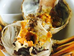 -丫丫蟹庄·苏式园林农家乐·阳澄湖大闸蟹(阳澄湖莲花岛店)