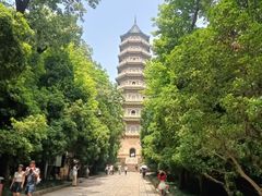 -灵谷景区