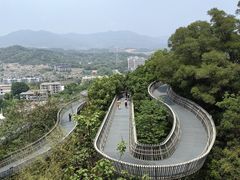 -福道