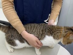 -拜鲁耶动物诊疗中心·宠家动物医院