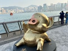 -星光大道
