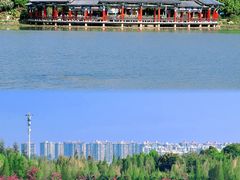 -洛龙公园