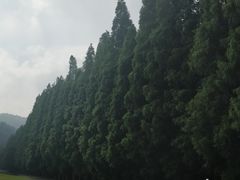 -南京金牛湖风景区