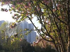 -望湖公园