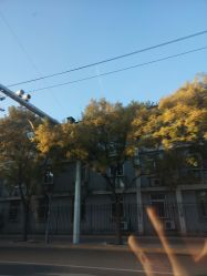 -佳医堂·小儿推拿·产后康复·脊柱养护(新华联家园店)