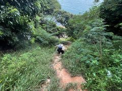 -洞背山庄(洞背院区式管理小区店)
