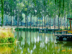 -东郊湿地公园
