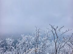 -四明山国家森林公园