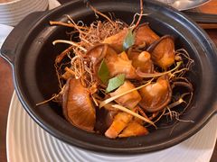 -梧桐舍那(梧桐山店)