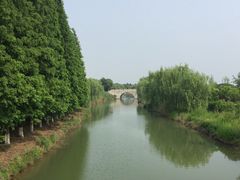 -南湖湿地公园