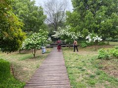 -合肥三国新城遗址公园