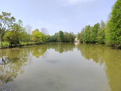 -上海海湾国家森林公园