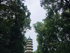 -灵谷景区