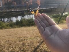 -东莞植物园