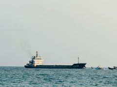 -东郊椰林