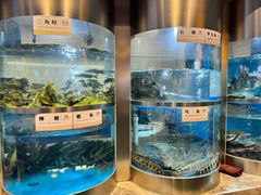 -老船舫·现做活鲜鱼馆(东郊记忆店)