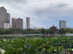 -青城公园