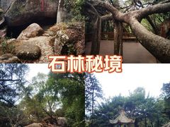 -青芝山风景名胜区