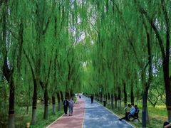 -大兴滨河森林公园