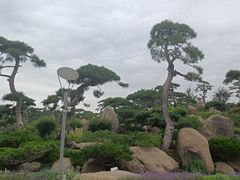 -罗红摄影艺术馆