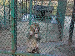 android_upload_pic-藏龙百瀑风景区