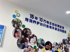 -天使宠物医院·犬猫分诊(彩虹店)