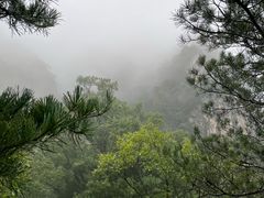 -王顺山国家森林公园