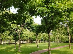-文华公园(禅城区)