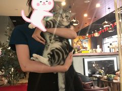 -咖法森林·咖啡  酒吧(天河店)