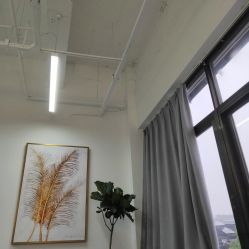 -蚂蚁造型沙龙