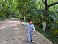 -天目湖山水园