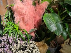 -春暖花开(西溪店)