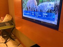 -珠海拱北口岸希尔顿欢朋酒店