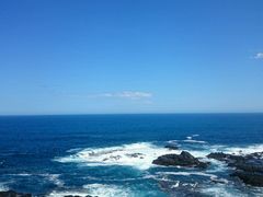 -企鹅岛
