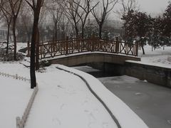 -张店儿童公园