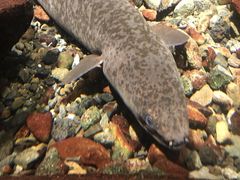 -鹿儿岛水族馆