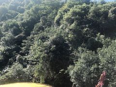 -将军关探险漂流