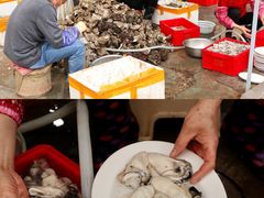 -花苑美食横琴生蚝火锅(拱北粤华路店)