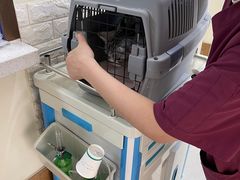 -美联众合动物医院·24h京西诊疗中心