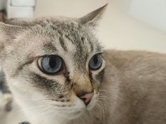 -共舞时光猫咖·狗咖(新街口店)