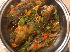 -龙小海荆沙鸽子店(瑞安街店)