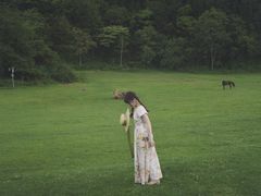 -武陵山森林公园