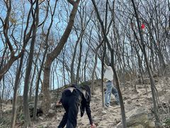 -紫金山山顶公园