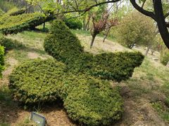 -武清南湖绿博园