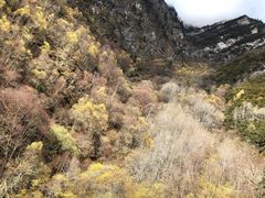 -叠溪松坪沟景区
