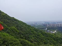 -杭州半山国家森林公园