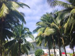 -中国（海南）南海博物馆